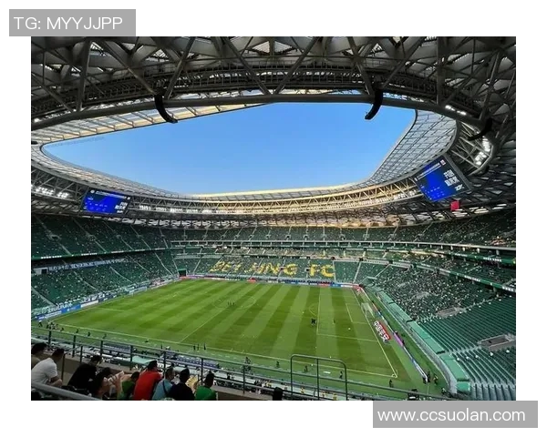 巧克力球星闪耀绿茵场 冠军足球背后的甜蜜传奇 巧克力球星闪耀绿茵场 冠军足球背后的甜蜜传奇