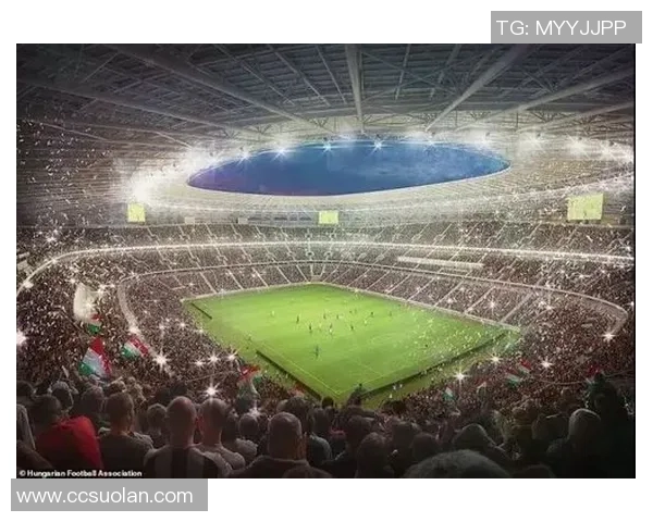 足球球星场:打造全新足球文化体验空间 引领球迷互动与娱乐新潮流 足球球星场:打造全新足球文化体验空间 引领球迷互动与娱乐新潮流