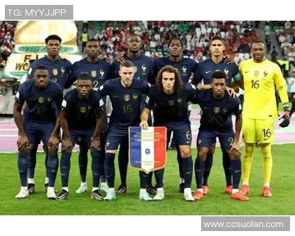 法国足球队中的白人球星及其在球队中的重要地位分析 法国足球队中的白人球星及其在球队中的重要地位分析