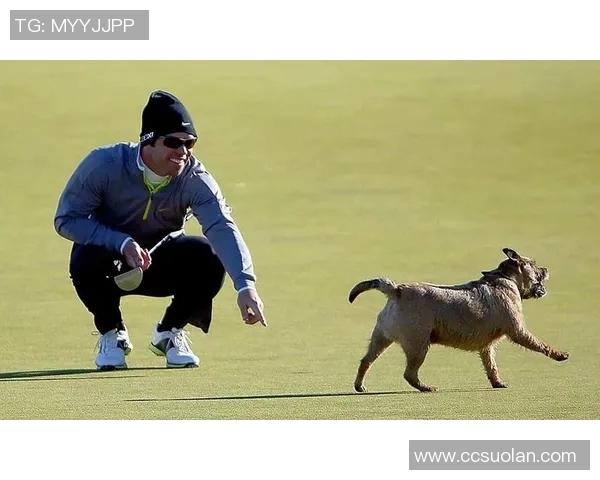 足球明星的萌宠大集合这些球星与宠物的甜蜜瞬间你都看过吗