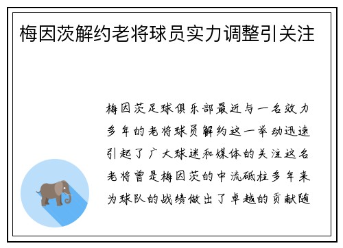 梅因茨解约老将球员实力调整引关注